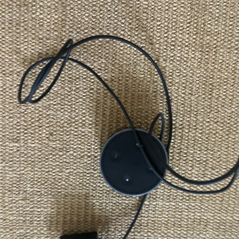 Black Echo Dot